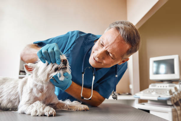 Best Same-Day Emergency Dental Services in Middletown, KY